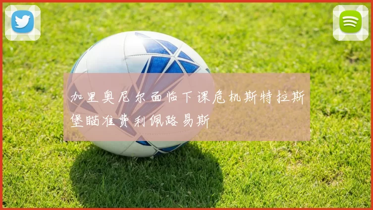 加里奥尼尔面临下课危机斯特拉斯堡瞄准费利佩路易斯